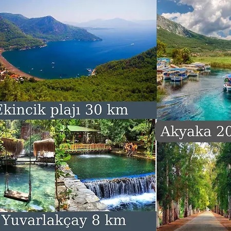 Koycegiz Olive Apart Апартаменты