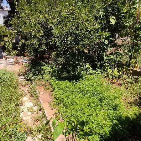 Koycegiz Olive Apart Διαμέρισμα *