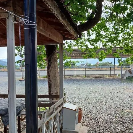 Koycegiz Olive Apart Apartment Mugla