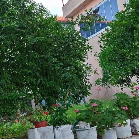 Apartment Koycegiz Olive Apart Mugla
